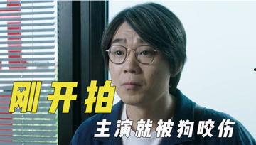 吃瓜君爆笑视频大全,让你笑到肚子疼