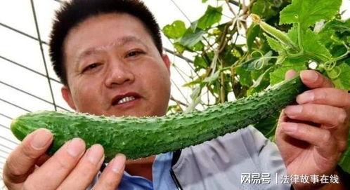 吃坏瓜中毒视频大全,吃坏瓜视频大盘点