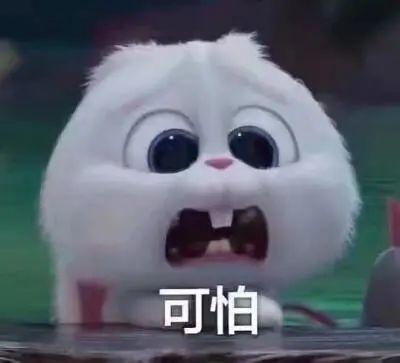 吃坏瓜中毒视频大全,吃坏瓜视频大盘点