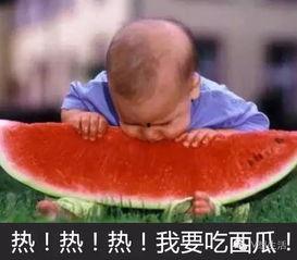 吃瓜打胶视频大全,视频大全带你轻松入门