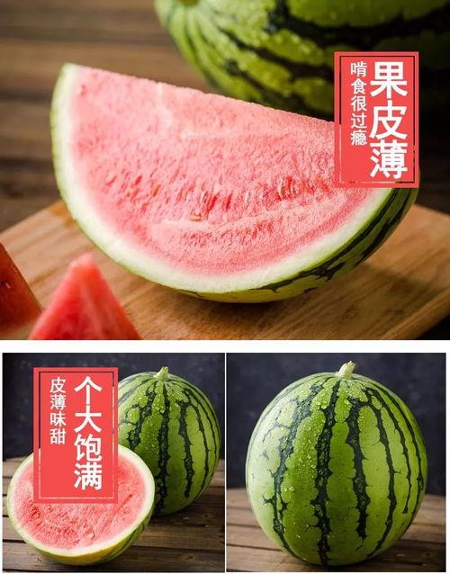 秋天吃西瓜麒麟瓜好吗视频,西瓜新风尚
