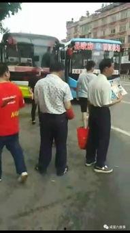 吃瓜群众围观现场视频,吃瓜群众围观，一幕幕精彩瞬间回顾