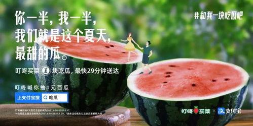 网红的吃瓜视频文案大全,揭秘热门话题背后的趣味与真相