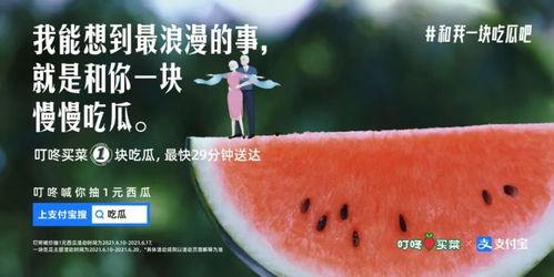 网红的吃瓜视频文案大全,揭秘热门话题背后的趣味与真相