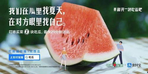 网红的吃瓜视频文案大全,揭秘热门话题背后的趣味与真相