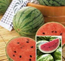 吃瓜菜怎么做好吃窍门视频,轻松学会家常吃瓜菜绝技