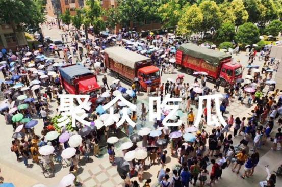 杭州聚众吃瓜事件视频,一场网络热议的街头奇观