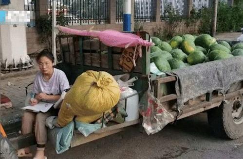 河南许昌吃瓜事件视频,一场网络热议的真相揭秘