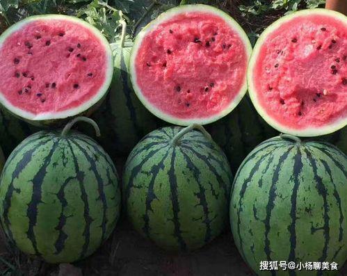 吃胸瓜会长大吗视频,吃胸瓜真的能助长吗？视频解析