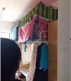 宿舍吃瓜扔东西搞笑视频,吃瓜扔物，笑料横飞！