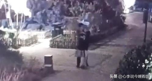吃桃吃瓜视频完整版,视频完整版深度解析