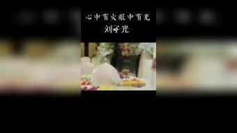 吃瓜打架网站大全视频播放,吃瓜打架网站大全视频精彩回顾