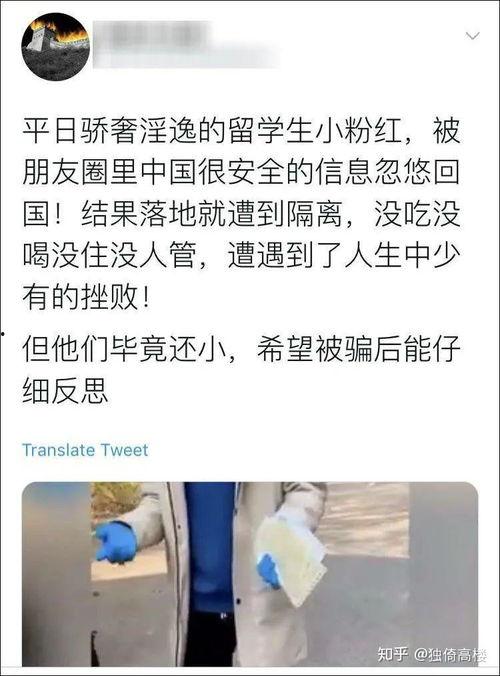 乐都吃瓜事件始末视频,一场网络热议的始末揭秘