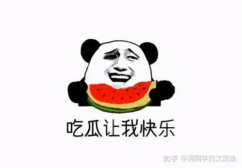 吃瓜文案 搞笑视频,搞笑视频里的爆笑瞬间