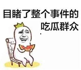 沙雕动画吃瓜千金视频,揭秘网络红人的搞笑日常